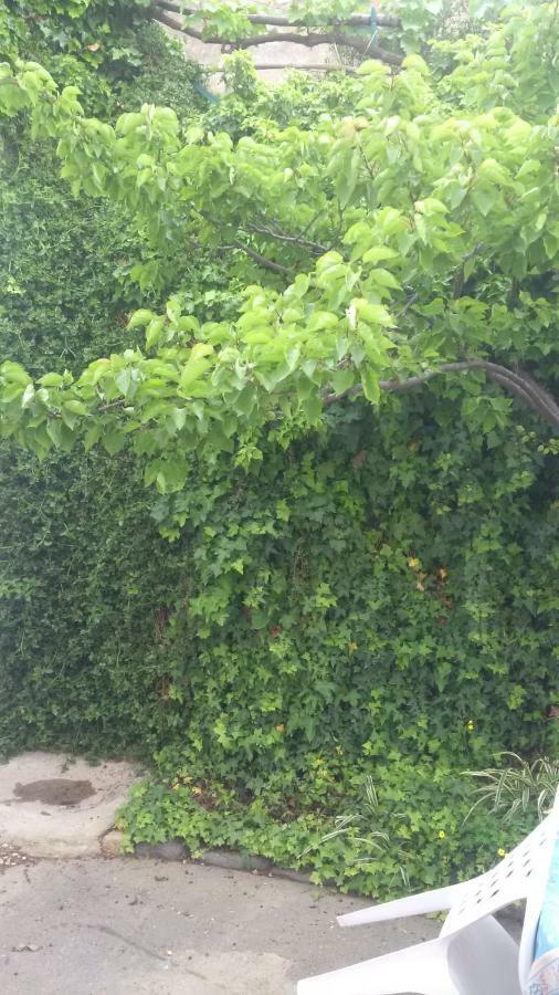 Lovely House Apartment Nebida Ngoại thất bức ảnh